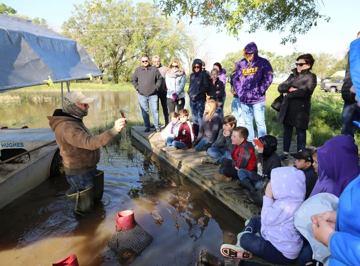 A Visit to a Crawfish Farm, Moss Bluff Students Get First-Hand Look at Process