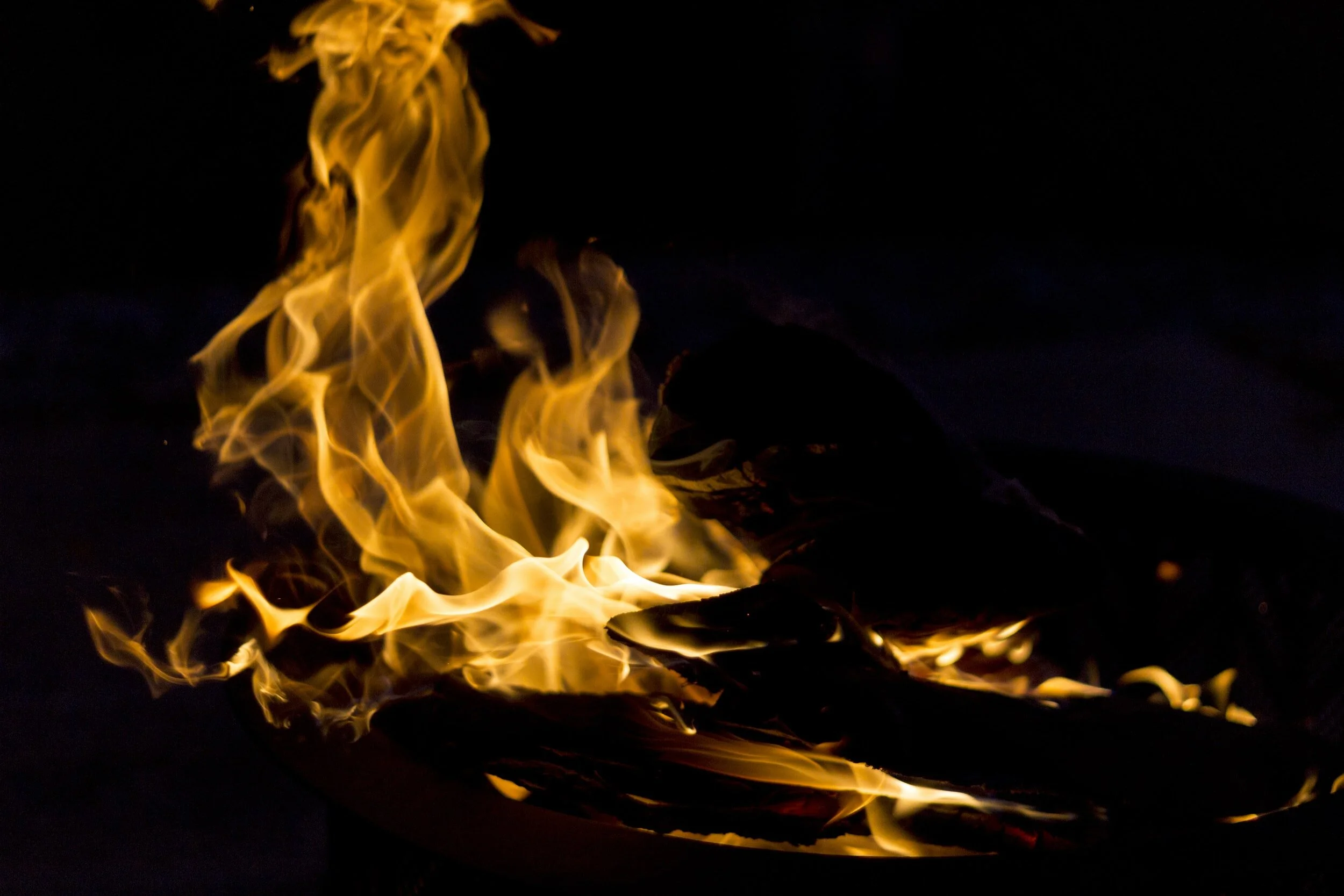 Arson Suspected in Kisatchie National Forest Fires