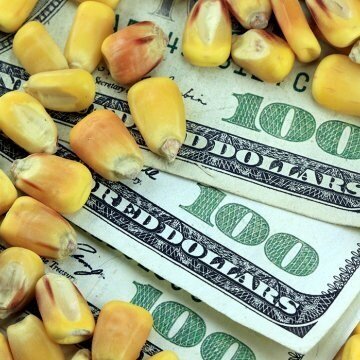 Grain Market Rally: Is It History In The Making?