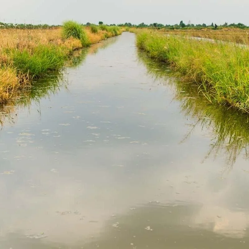 EPA Administrator Won't Return To Obama-Era WOTUS Rule