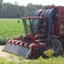 Software Tells Farmers Precisely Where Conservation Will Make Them Money