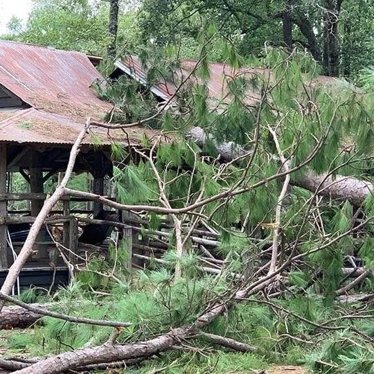 4-H Summer Camp Hits The Road While Beloved Facility Awaits Repairs