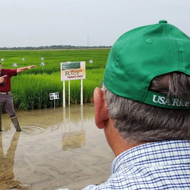 Columbian Farmers Get Rice Advice From Dr. Steve Linscombe