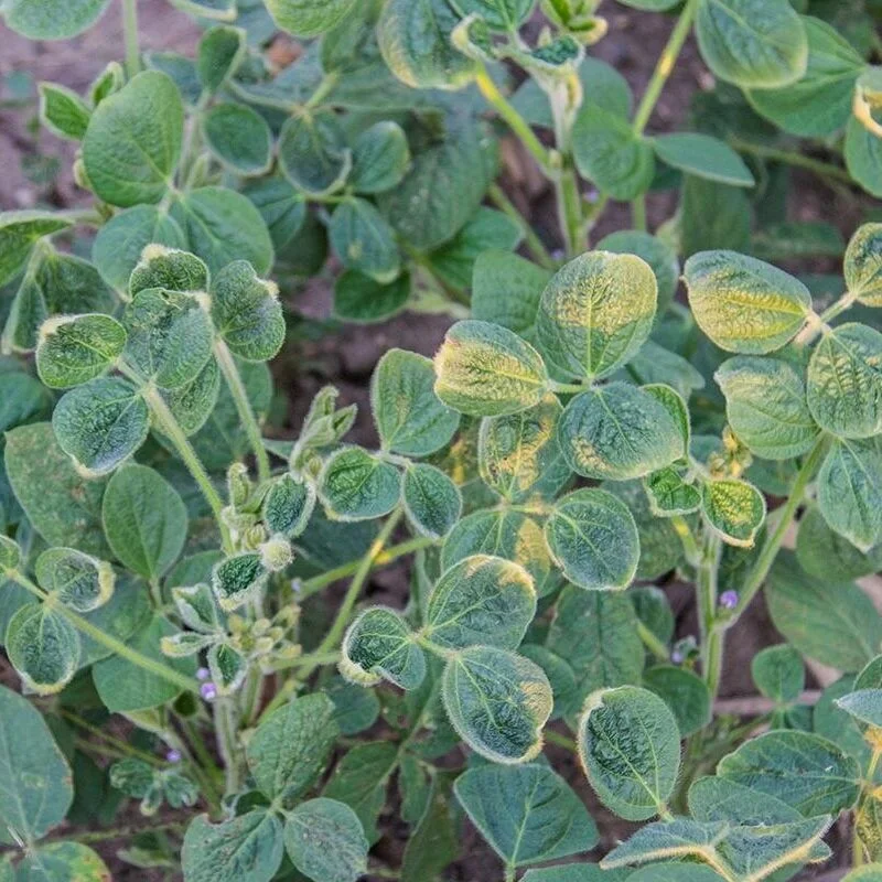Dicamba Settlement Deadline:  May 28