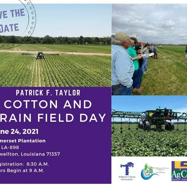 Patrick S. Taylor Field Day June 24