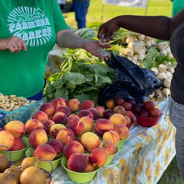 AgCenter Investigates Food Systems To Combat Obesity In Rural Parishes
