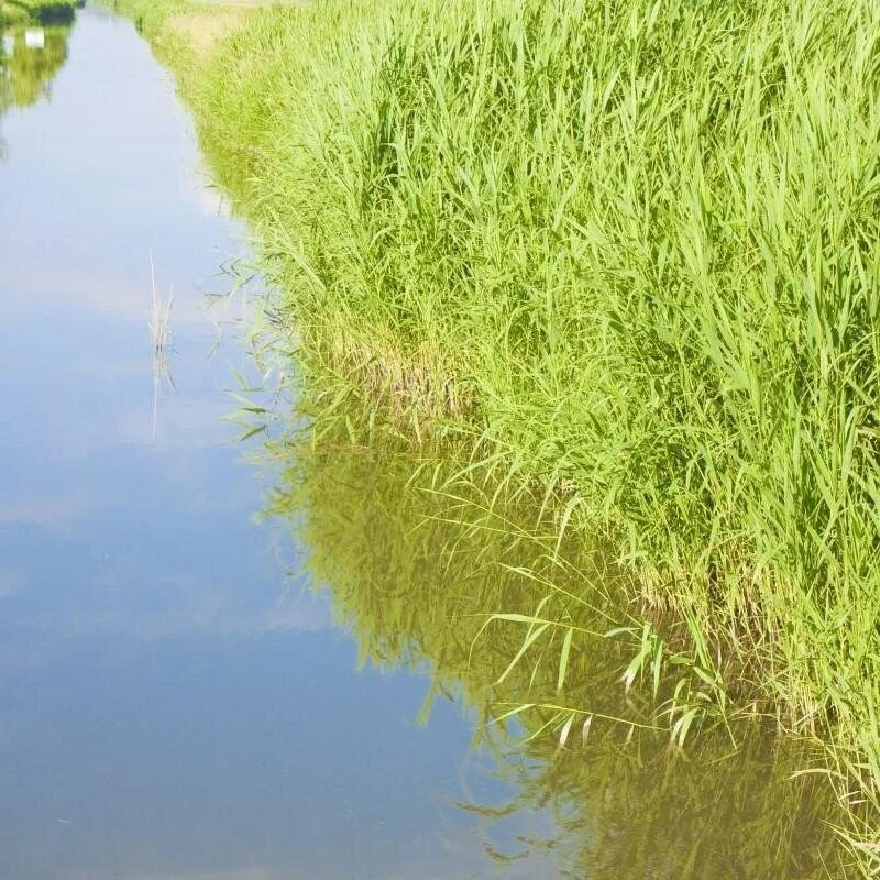 Biden Administration Begins Rewrite Of Water Rule