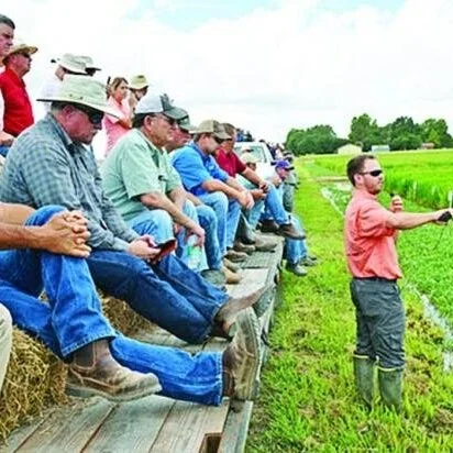 AgCenter Rice Field Day June 30
