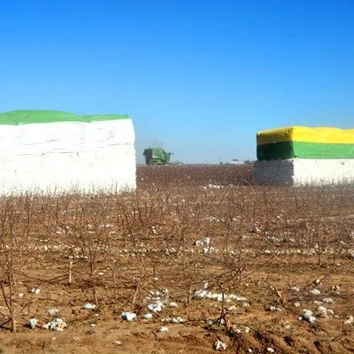 Strong Chinese Consumption, State Reserve Demand Drive Cotton Imports To 7 Year High