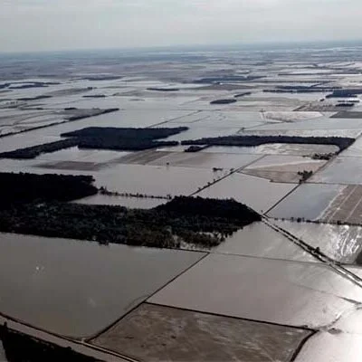 Historic Flooding Destroys Thousands Of Acres Of AR Rice