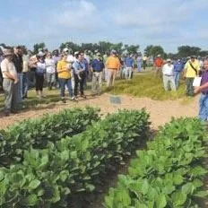 Northeast Research Station Plans 2 Field Days Next Month