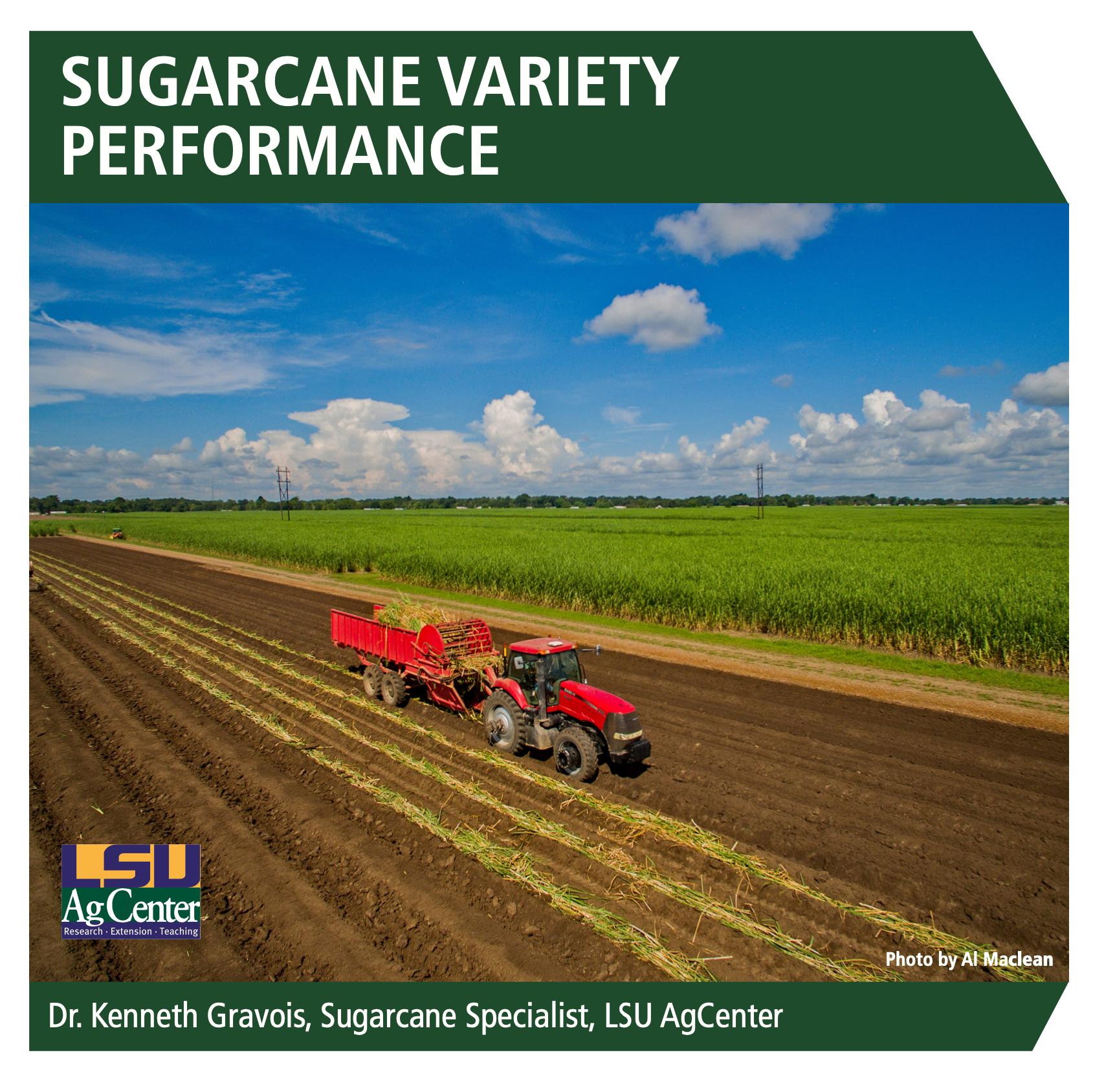 LSU AgCenter Sugarcane Variety Performance Report