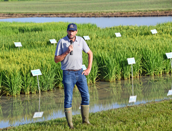 LSU AgCenter Researchers Showcase Projects at Annual Field Day