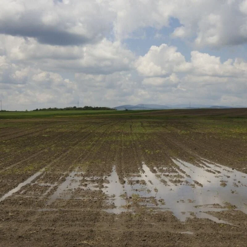 What Is The Future Of WOTUS For Farmers?