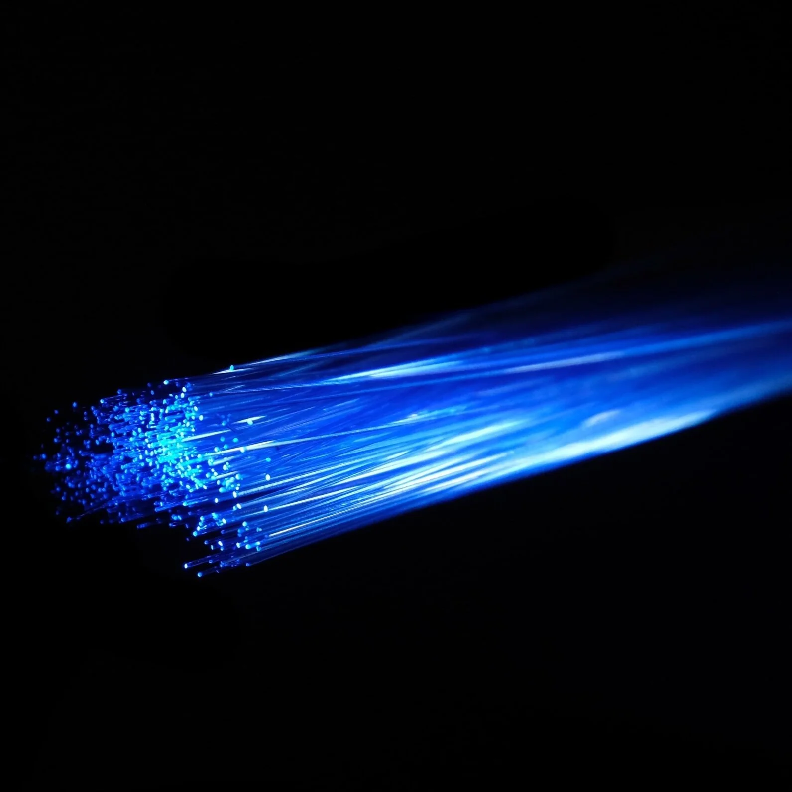 La. Farm Bureau Helping Delta Regional Authority Survey Internet Speeds