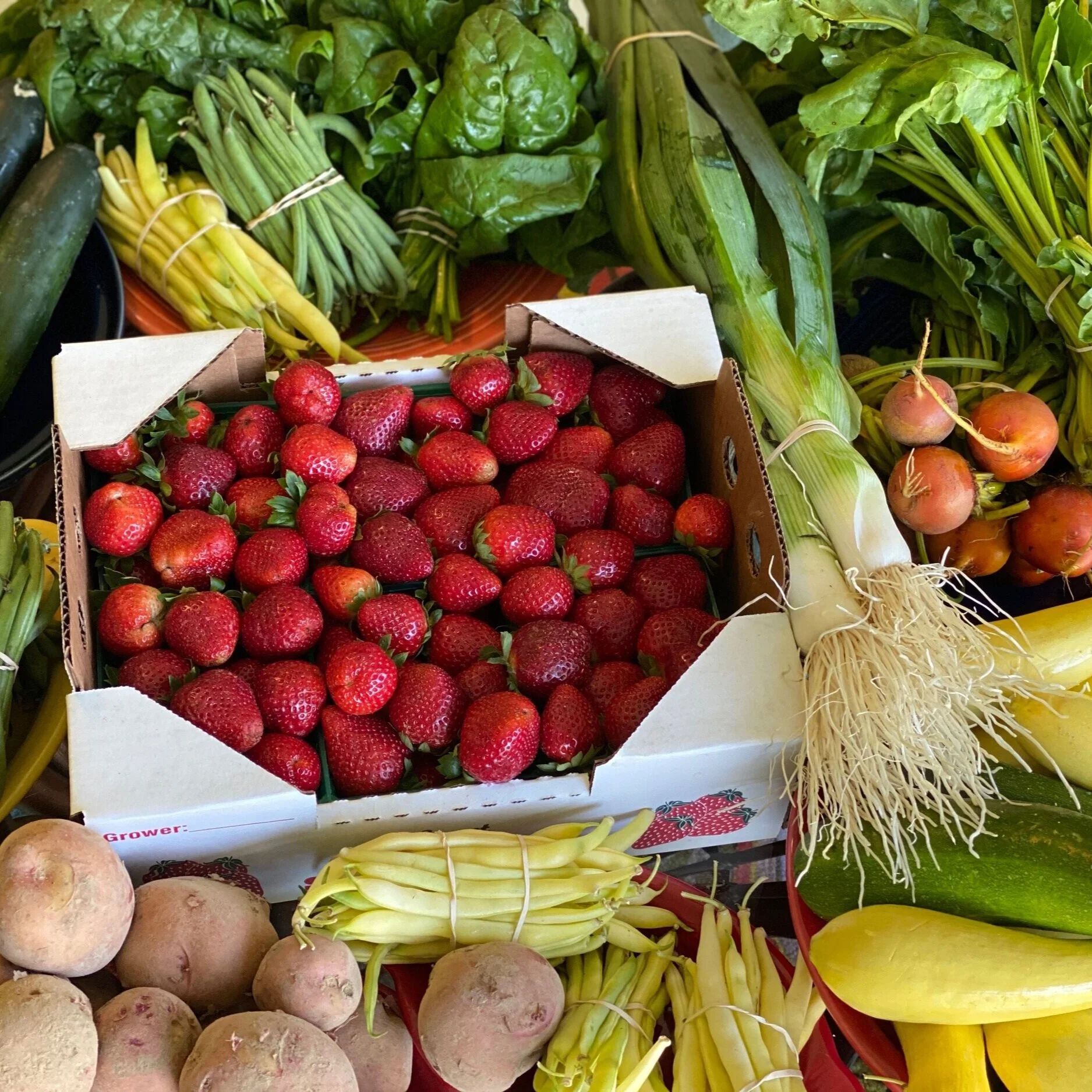 USDA Celebrates National Farmers Market Week