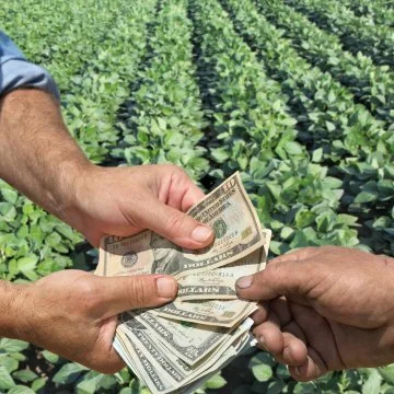 Senators Question Slow Pace of Pandemic Payments to Farmers