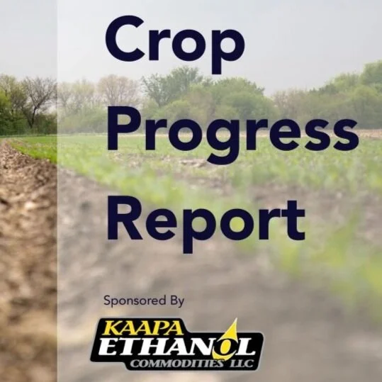 KAAPA Ethanol crop progress report for the week of August 9th
