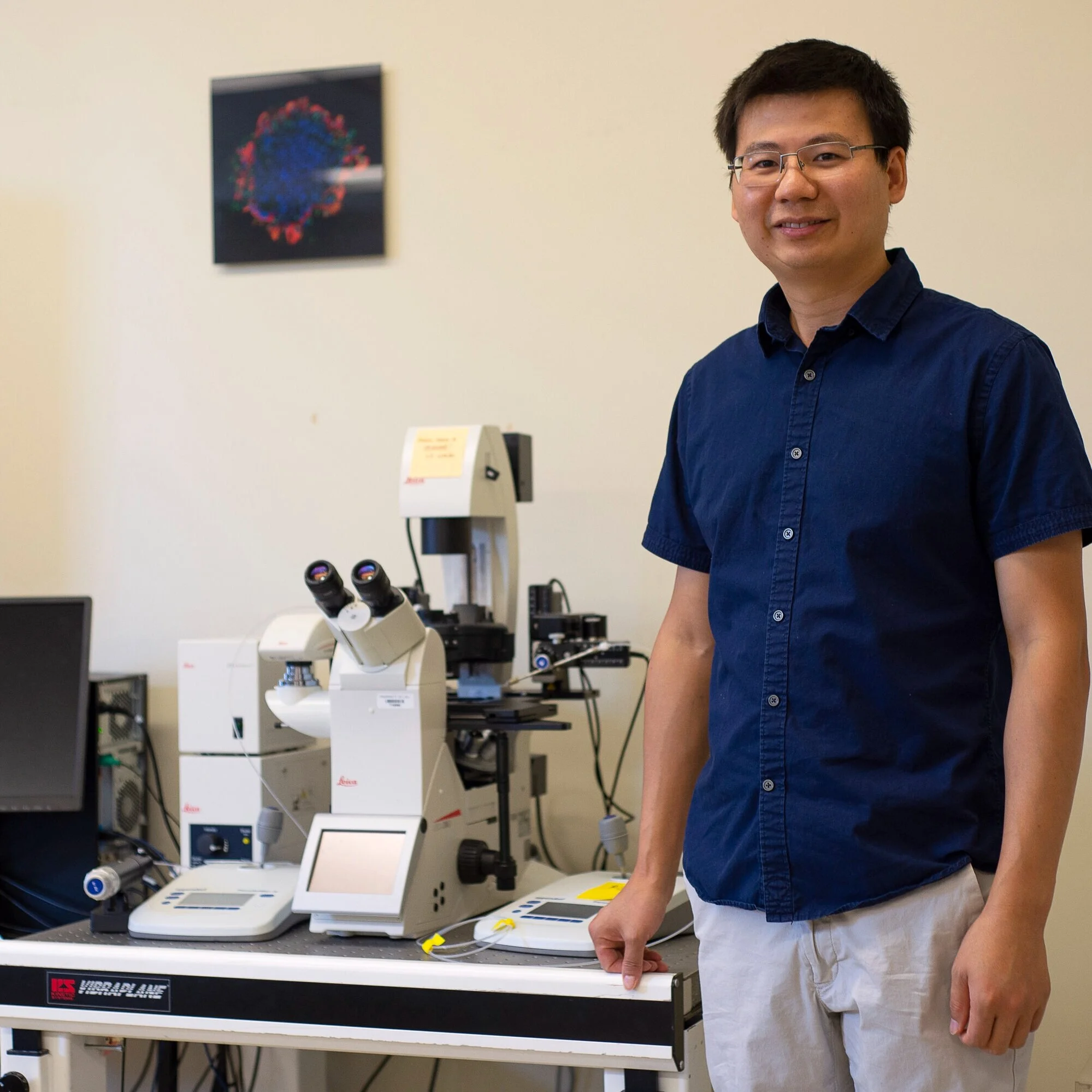 LSU AgCenter Researcher Receives $3.2 M Grant For Pregnancy Loss Research