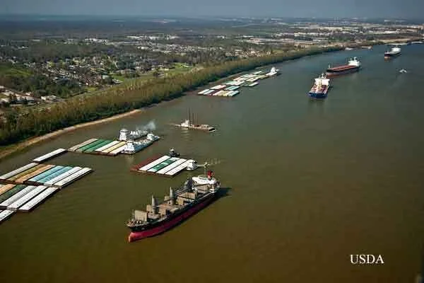 Soybean Export Sales Jump Significantly Higher