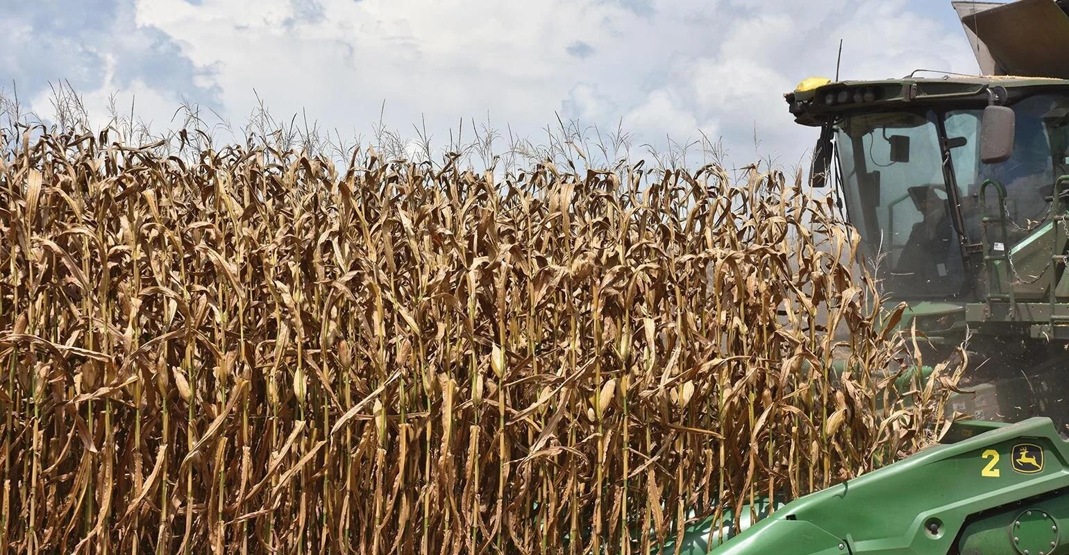 Louisiana Growers Cautiously Optimistic About 2021 Harvest