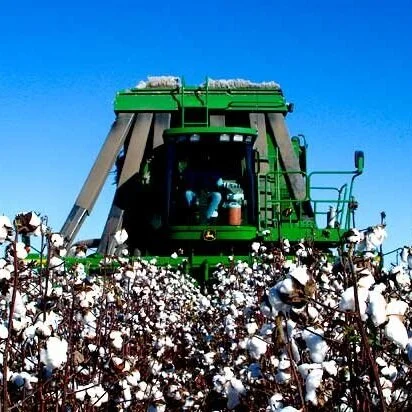 US Cotton Trust Protocol Announces 2021 Grower Enrollment Webinars