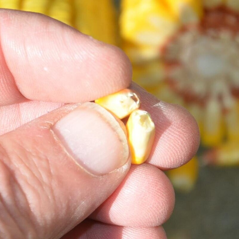 The Magic Of Reaching Black Layer