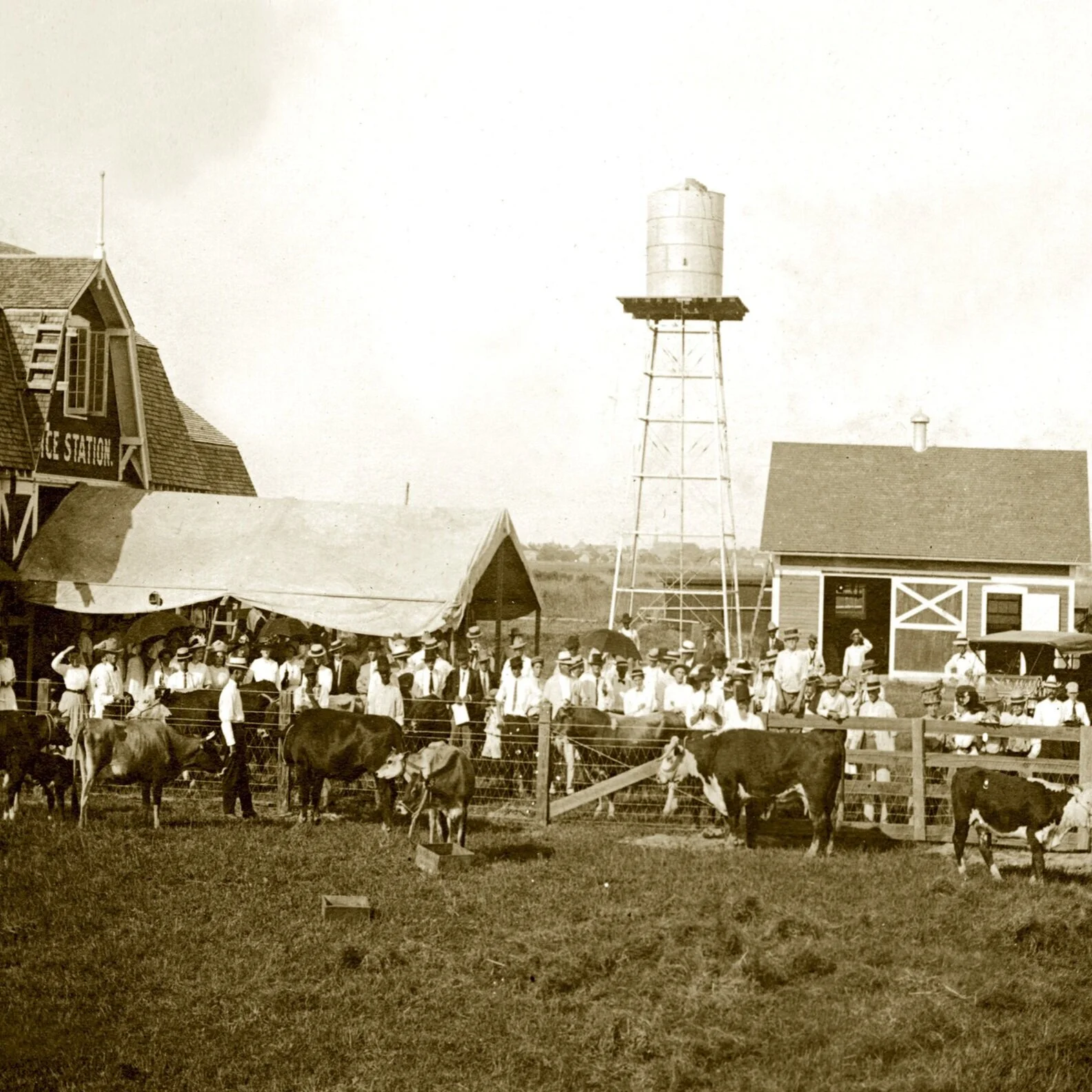 H. Rouse Caffey Rice Research Station: A Rich History Of Research &amp; Variety Development