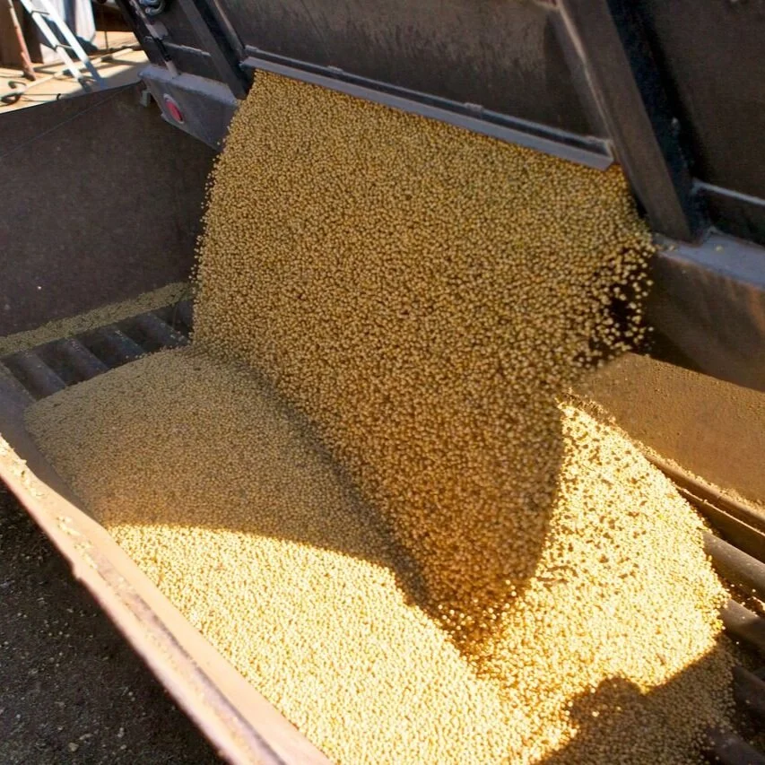 Soy Checkoff Designed To Solve Producers Problems