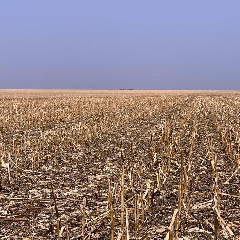 Brazilian Framers Begin Seeding Soybeans Amid Historic Drought