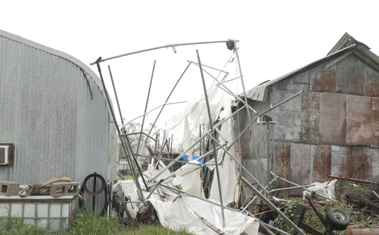 TFB Donates to Louisiana Disaster Relief Fund to Benefit Farmers, Ranchers