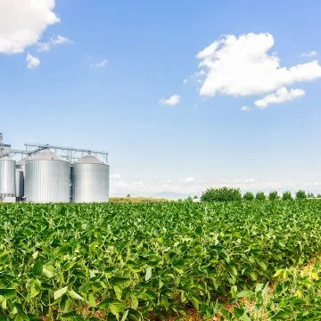 LSU AgCenter Releases Agriculture Impact Analysis