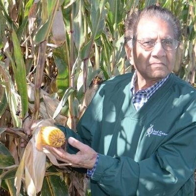 5 Factors That Prevent Corn From Reaching Full Yield Potential