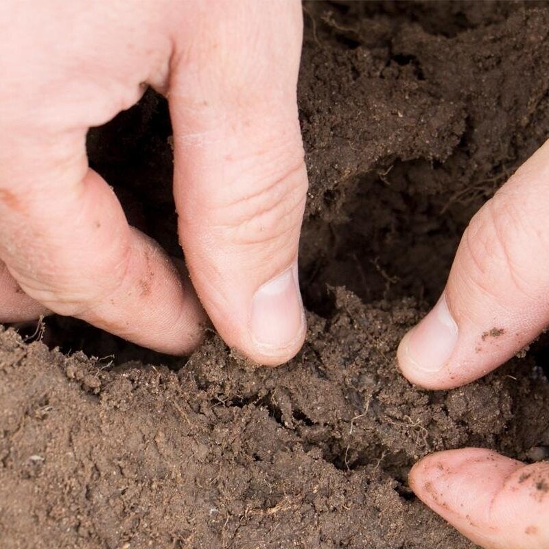USDA Launches First Phase Of Soil Carbon Monitoring Efforts Through CRP Initiative