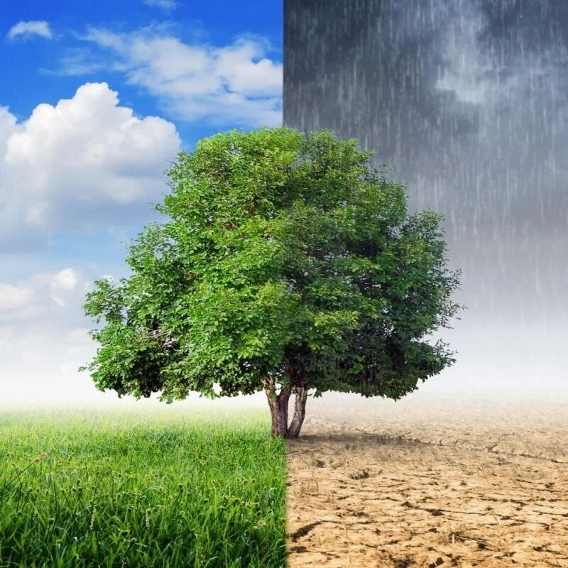 Grants Available For Conservation Efforts