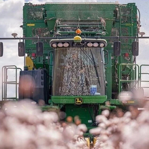 Cotton: A-I Helps Researchers Adapting Crops For Future Climate Conditions