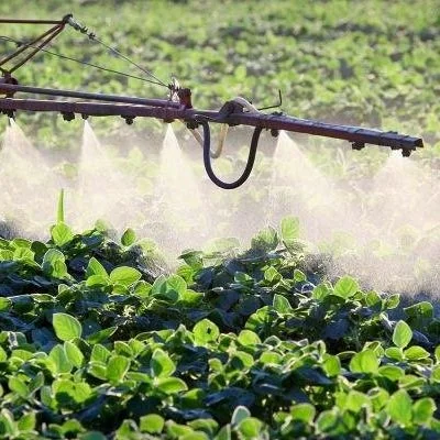 Soybean Foliar Fertilizers: Worth The Investment?