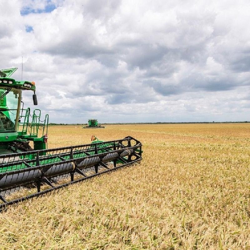 EU Lifts 25% Retaliatory Duty On US Rice