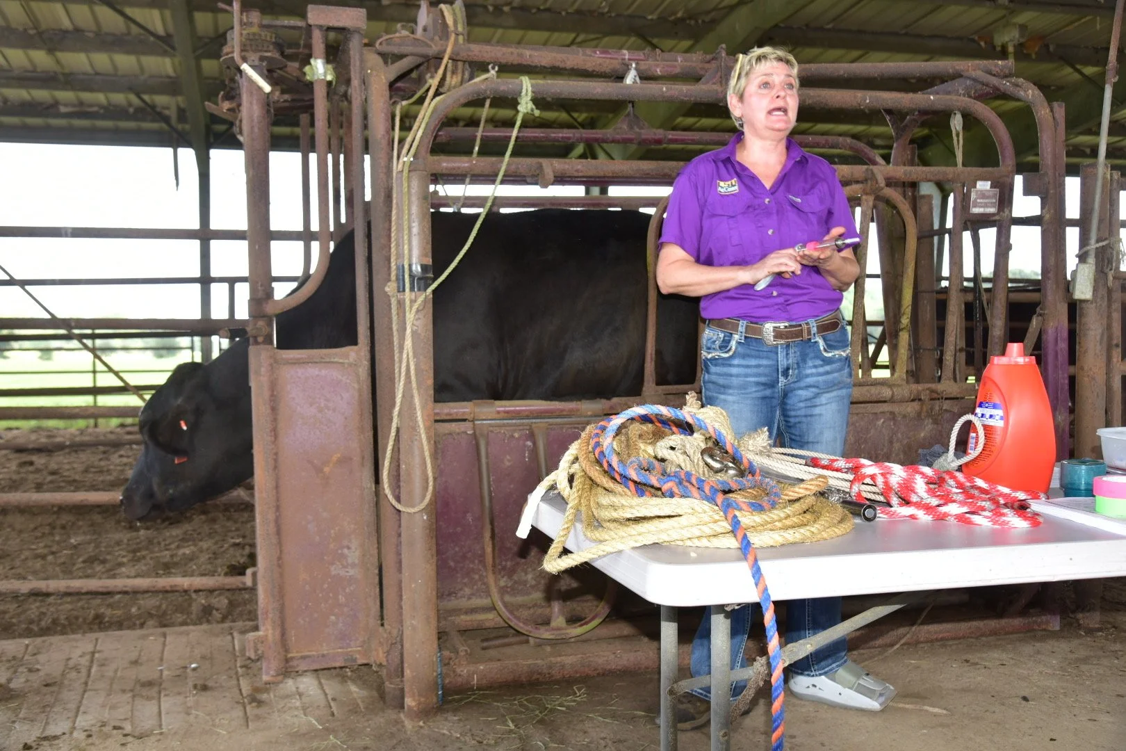 Acadiana Beef Cattle Producers Hear Market Updates at Field Day