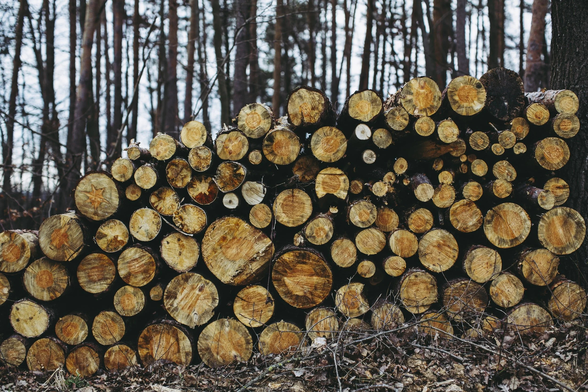 $9 Million in Logging Grants up for Grabs in Louisiana