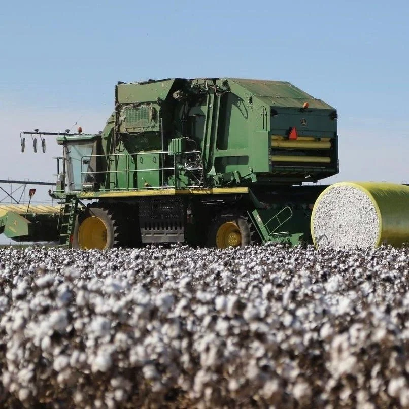 WASDE Cotton: Domestic Production Slightly Higher