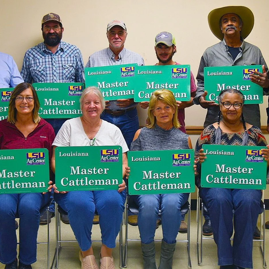 20 In Acadiana Earn Master Cattleman Distinction