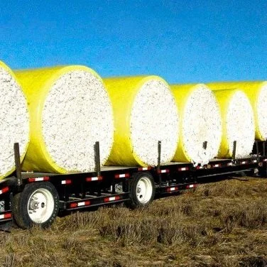 Cleveland On Cotton: Market Maintains Momentum Despite Neutral USDA Report