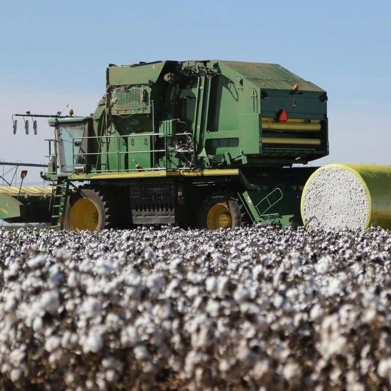 Cotton Prices Rise Despite Smaller Reduction In Projected Global Stocks