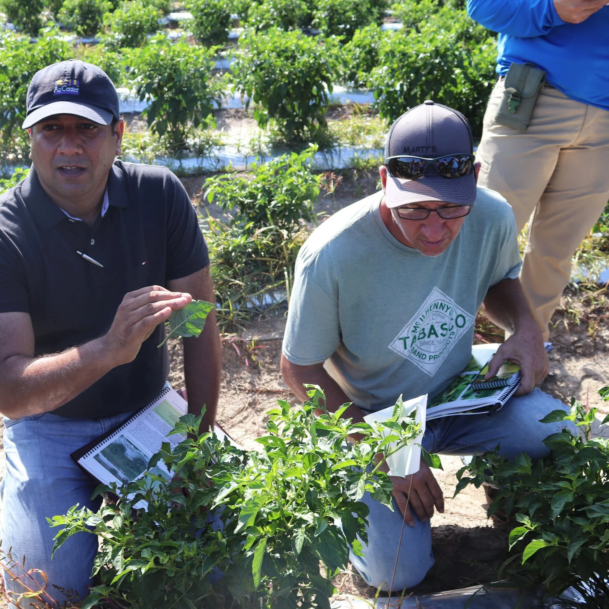AgCenter Plant Diagnostic Center Marks 10 Years Of Solving Plant Health Problems