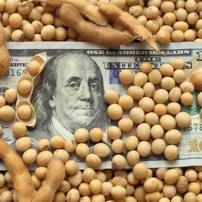 US Soy Achieves Record Export Volume for 20/21 Marketing Year