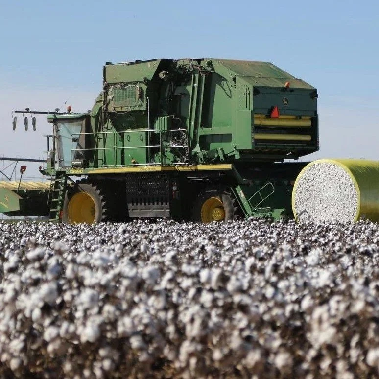 2021 Cotton Harvest In A Word: Satisfaction
