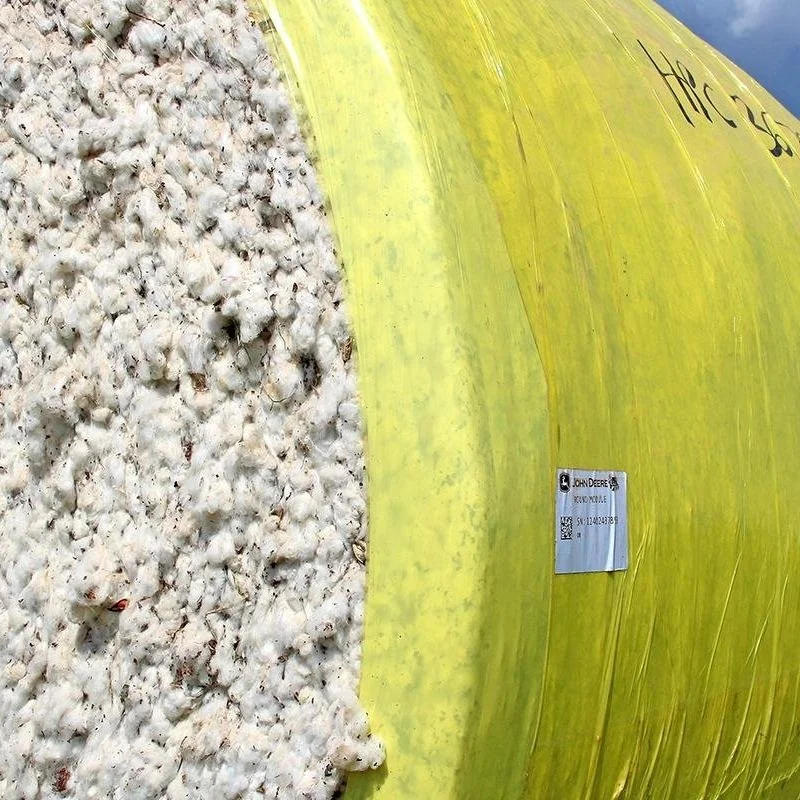 Members, Alternates &amp; Advisors Appointed To Serve On The Cotton Board