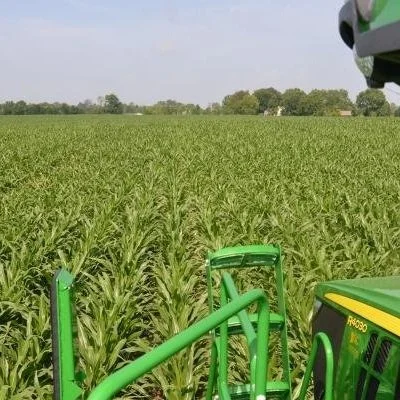 This Is The Year To Fine-Tune Nitrogen Management In Corn