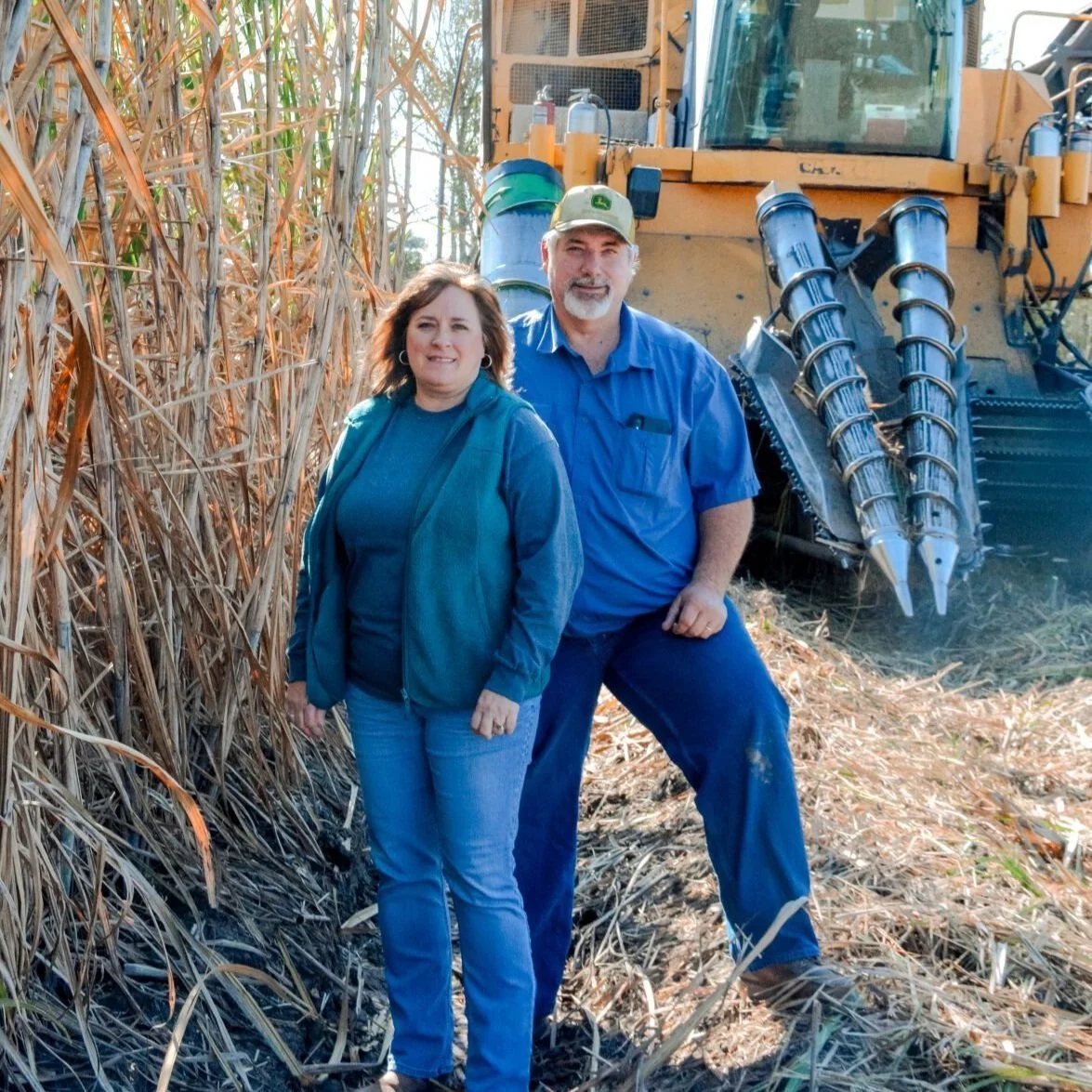 A Day in the Life of a Sugar Cane Family